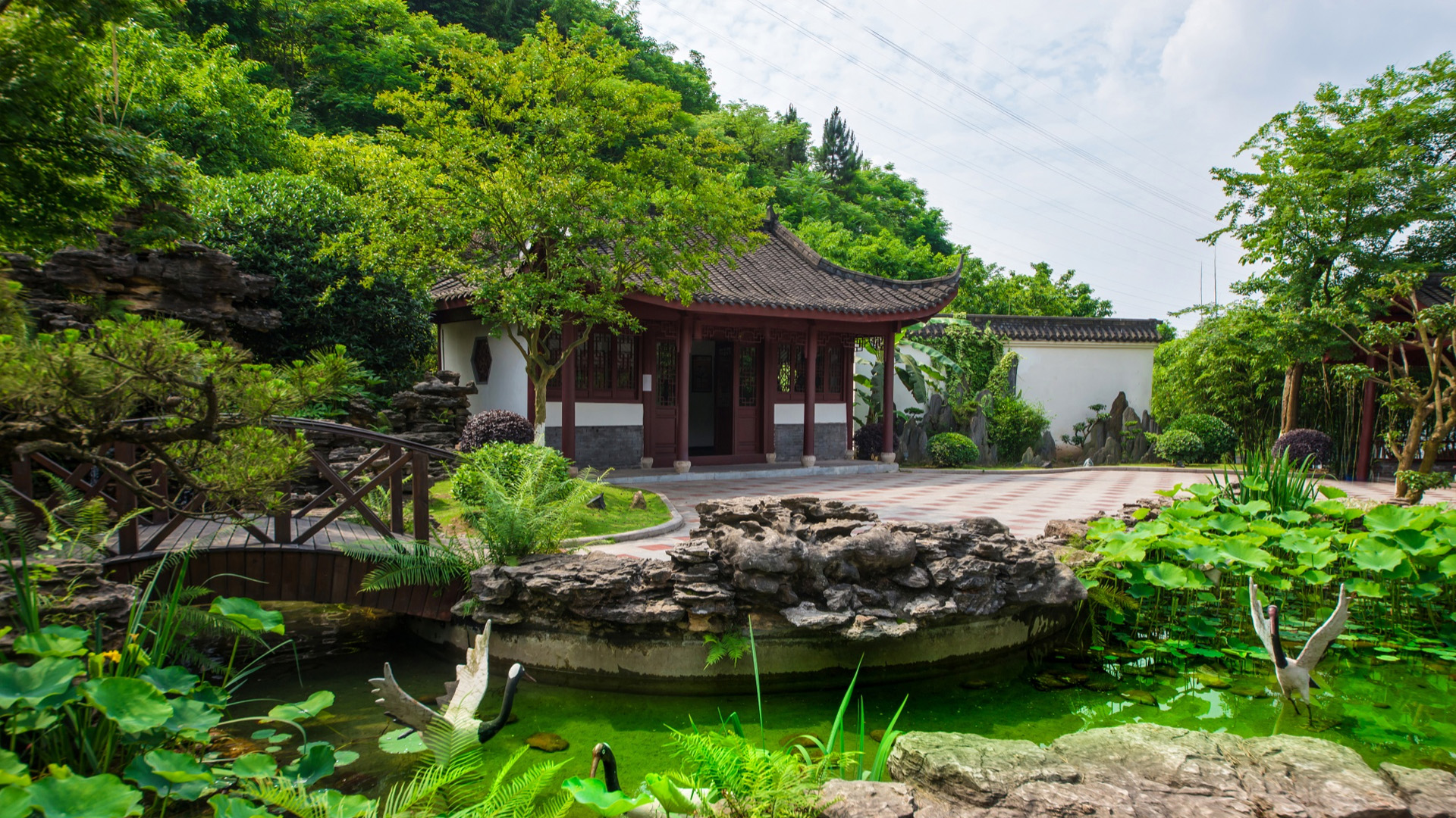 Levantamento Florístico